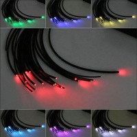 Projecteur LED extérieur IP65 6000K blanc à roue de couleur scintillante DMX512 pour éclairage de piscine à fibre optique