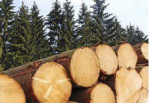 <b>Molis</b> High Quality One Piece Wood Snooker Cue Stick Hendry Edition 145cm 19oz - Product Image 6