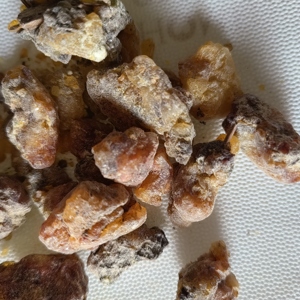Goma de resina <span class=keywords><strong>Picea</strong></span> Asperata seca cruda natural <span class=keywords><strong>Picea</strong></span> Asperata a la venta - Product Image 3