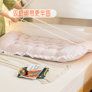 Couleur unie 2023 soleil plus nouvelle couleur unie tête <span class=keywords><strong>de</strong></span> lit coussin sac souple dos poudre <span class=keywords><strong>de</strong></span> riz taie d'oreiller - Product Image 4