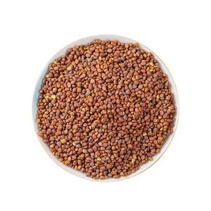 Nuovo Lotti <span class=keywords><strong>di</strong></span> <span class=keywords><strong>Semi</strong></span> <span class=keywords><strong>di</strong></span> <span class=keywords><strong>Ravanello</strong></span> 1kg, <span class=keywords><strong>Semi</strong></span> <span class=keywords><strong>di</strong></span> <span class=keywords><strong>Ravanello</strong></span> Fritti, Erba Aromatica per Tè e Spezie - Product Image 1