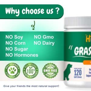 เครื่องประหยัดจุดฉี่สุ<span class=keywords><strong>น</strong></span>ัขฉี่ส<span class=keywords><strong>น</strong></span>ามหญ้าฉี่สุนัขที่เกิดจากปัสสาวะสุนัข เคี้ยวสุ<span class=keywords><strong>น</strong></span>ัขแบบกําหนดเองรักษาป้องกันจุดเผาดส<span class=keywords><strong>น</strong></span>ามหญ้า - Product Image 3