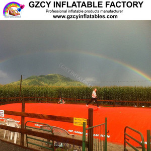 Giant Inflatable Jumping <strong>Pillow</strong> on Land Kangaroo Jumper Inflatable Jumper <strong>Pillow</strong> Pad - Product Image 2