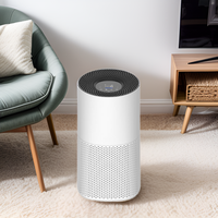 Purificateur d'air portable OEM avec affichage de la qualité de l'air, filtre HEPA H13 et filtre à charbon véritable