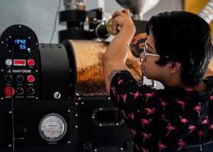 Wintop santoker WS-3 3kg trống thương mại Nhà USB cà phê rang cà phê hạt cà phê Máy rang - Product Image 4