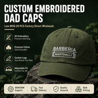 Gorra de Béisbol Curva de 5/6 Paneles con Gráfico Bordado Personalizado, Estilo Urbano, Cierre a Presión, Transpirable e Impermeable