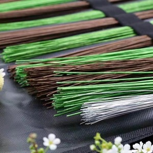 Manualidades DIY, 100 Piezas de <span class=keywords><strong>Alambre</strong></span> Floral, Varillas de Plástico <span class=keywords><strong>para</strong></span> Flores Artificiales, Tallos Verdes <span class=keywords><strong>para</strong></span> Plantas, Alambres de Hierro <span class=keywords><strong>para</strong></span> Floristería, Día de San Valentín, Hecho a Mano - Product Image 6