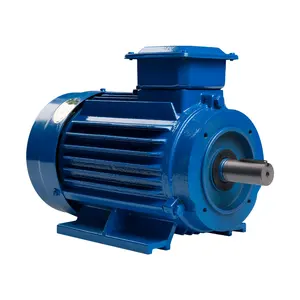 Motor listrik 11kw 15kw 18.5kw 22kw 55kw 75kw 90kw 110kw 132kw 160kw 200kw 400/690V IE3 tiga fase induksi Motor listrik