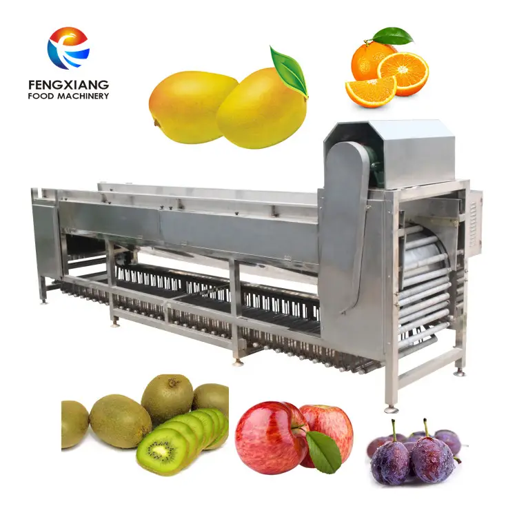 OG-606 selezionatrice multifunzione a rulli macchina smistatrice arancione classificazione arancione si applica alla classificazione della frutta