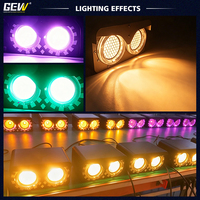 Projecteur LED de surface DMX 100W à lumière dorée, blanc chaud et froid, RGB, aspect hibou, pour événements scéniques
