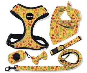 Factory Hot Selling Retractable Dog Leash Special Design 2024 Trending Products Pet Harnesses Dog Harness OEM Rainbow Print QH