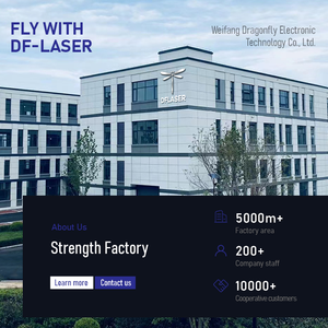 2025 DF y tế alexandrite Máy tẩy lông bằng laser 3000W công suất cao xung dài 755nm & 1064nm que Laser nhẹ nhàng Nd Yag - Product Image 5