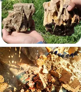 Đá Rồng đá bể cá trang trí aquascaping đá (kích thước hỗn hợp) - Product Image 4