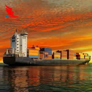 DDP морская Экспресс-Доставка в Южную Африку от двери до двери с налогом на импорт и оформлением в комплекте - Product Image 4