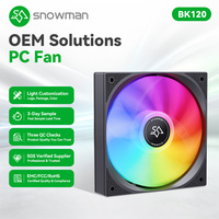 Ventilateur de boîtier PC SNOWMAN BK120 120mm noir, LED arc-en-ciel, 1000 tr/min, Molex 4 broches, 12V DC, économique, vente en gros