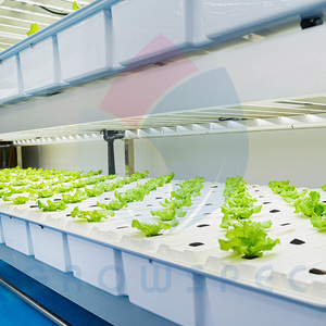 Growspec trong nhà dọc hệ thống canh tác | thủy canh phát triển kệ với LED phát triển đèn - Product Image 3