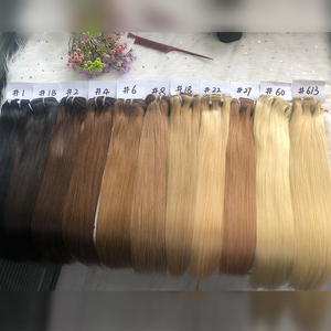 Paquete de Cabello Humano Vietnamita Virgen sin Procesar, Liso, con Cutícula Alineada, Proveedor de Cabello Virgen, Extensiones de Cabello Indio y Camboyano - Product Image 1