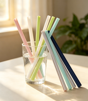 Pailles en silicone pliables et écologiques en gros avec étui et accessoires de nettoyage pour bar