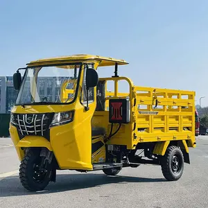 Factory Price Customized High Quality 3 Wheels Adult Electric Cargo Long Range Electric Tricycle