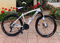 Vélo VTT 21 Vitesses en Gros avec Cadre en Acier Carbone, Freins à Disque, 24/26 Pouces, Vélo Tout Terrain Haute Configuration, Pédales Ordinaires