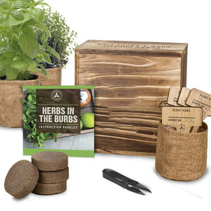 Productos de Jardinería, Set de Plantación, Caja de Regalo para Plantas y Hierbas, Kit de Inicio para Bonsái, Productos al por Mayor - Product Image 1