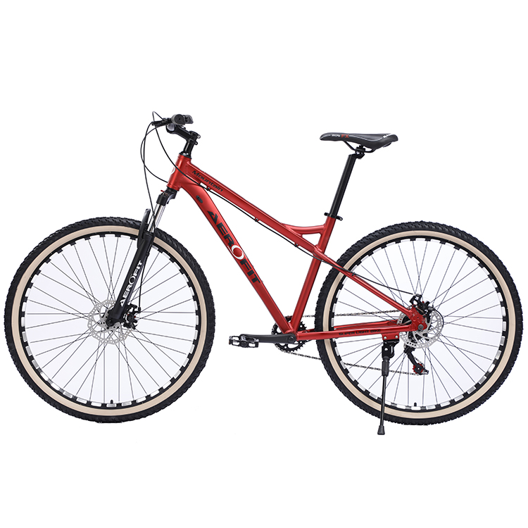 Bicycle Excel Quality Bikes from China for All Needs