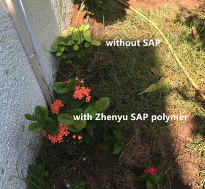 Polyacrylate de potassium pour l'agriculture Où <span class=keywords><strong>acheter</strong></span> SAP polymère super absorbant Exportation en Tunisie en Afrique Marchandises en stock - Product Image 3