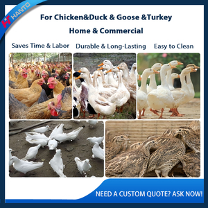 Commercial Durable &amp; Easy Clean Electric Poultry <strong>Plucker</strong> Machine Small Farm Feather Remover Fast <strong>Chicken</strong> Duck Plucking - Product Image 3
