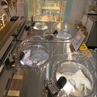 Machine à glace dure professionnelle CE NFS Certifiée Pro V2 avec système de refroidissement par air, congélateur discontinu R290, machine à gelato, machine intelligente pour lait végétal