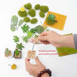 DIY creativo Micro paisaje Artificial Mini suculentas negro PP maceta miniatura planta suculenta - Product Image 6