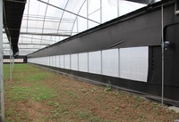 Serres à film plastique tunnel multi-travées agricoles à faible coût avec système hydroponique pour la culture de tomates/fraises/concombres