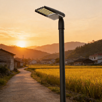 Lampadaire LED haute luminosité 160lm/W avec capteur intelligent, étanche IP66, compatible AC et RoHS, personnalisable OEM/ODM avec logo, pour routes et jardins