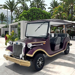 Новейший популярный 8-местный китайский Электрический классический автомобиль 4000W/5000W винтажный экскурсионный автомобиль для продажи - Product Image 5
