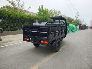 Made in China Electric Tricycle Adult Tricycle Cargo Delivery Trike Passenger Tricycle EEC <strong>CE</strong> ISO <strong>Certification</strong> - Product Image 6