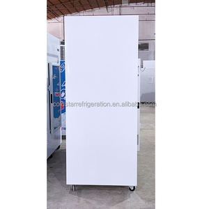 Indoor Outdoor Bagged Ice Storage Bin Large Fan Cooling Single-Temperature <b>Freezer</b> with Digital Control for Gas Station - Product Image 6