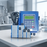 Medidor de Flujo Ultrasónico de Montaje en Pared, Azul, con Abrazadera, DN15~DN2000, TS-2, TM-1, TL-1, Tres Sondas Disponibles, Doble Fuente de Alimentación