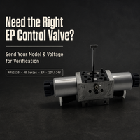 A4VG110EP A4VG145EP A4VG175EP Support OEM et personnalisation pour pompes de la série A4VG 12V/24V EP1 EP2 série 40