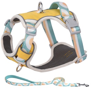 Pettorina Riflettente in Nylon Anti-Riot per <span class=keywords><strong>Cani</strong></span>, Comoda Imbracatura con Guinzaglio per Bulldog Francese, Chihuahua, Carlino, per Passeggiate all'Aperto - Product Image 3