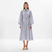 Robe midi plissée trapèze pour femme, lavande clair, col chemise, boutonnée, manches bouffantes, poches à rabat, ceinturée, personnalisable, vente en gros