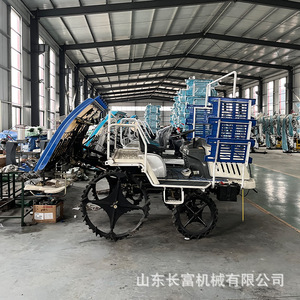 Riding Transplanter 6 <b>Row</b> Rice Transplanting <b>Machine</b> Automatic Agricultural Field Use - Product Image 5