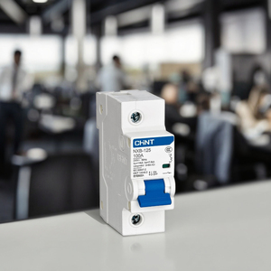 Disjoncteur miniature MCCB NXB-125 avec capacité de coupure de 10KA, 1-4P, 63A, 80A/100A/125A, bon prix - Product Image 4