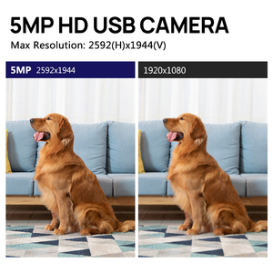 ZWAK PS5520 5MP WDR USBカメラモジュール 広角レンズ CMOS 1/2.5 ワイドダイナミックレンジカメラ 顔認識用 - Product Image 2