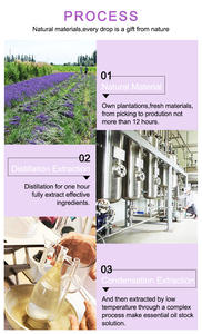 น้ำมันโรสฮิปบริสุทธิ์ 100% ออร์แกนิค ลดรอยสิว จุดด่างดำ สำหรับผิวหน้า รับผลิตแบบ OEM/ODM สำหรับแบรนด์ส่วนตัว - Product Image 2