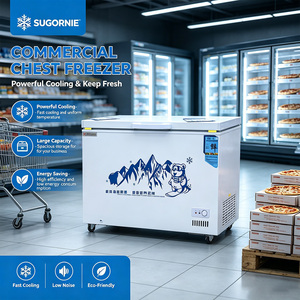 Congélateur horizontal commercial pour restaurants et supermarchés - Réfrigérateur à double porte <span class=keywords><strong>grande</strong></span> capacité avec portes solides verrouillables - Product Image 1