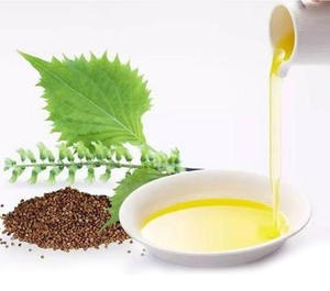 Frutescens <span class=keywords><strong>Basilic</strong></span> Purple Frutescens Seed Perila Fructus Perillae Perilla Seeds Perilla Leaf Powder Extract Oil - Product Image 3