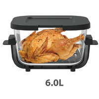 Anbolife 6L ve 4.2L Taşınabilir Görünür Camlı Air Fryer Dijital Dokunmatik Kontrol 8 Ön Ayarlı Menü 1500W Elektrikli Camlı Air Fryer OEM ODM