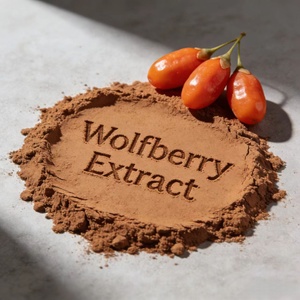 مستخلص التوت الغوجي 100% قابل للذوبان في الماء، مكمل غذائي عشبي طبيعي بدرجة غذائية لصحة الإنسان، مسحوق التوت الغوجي - Product Image 2