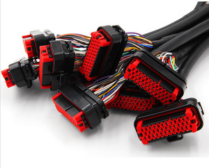 निर्माता कस्टम टर्मिनल वायर इलेक्ट्रॉनिक ऑटो वायर हार्नेस फैक्ट्री - Product Image 2