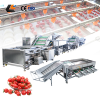 Aardbeienreinigingsapparatuur, fruit- en knoflooksorteerder, kiwi-reinigingsmachine, appel- en passievruchtwas-, sorteer- en kalibratielijn