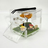 Ensemble de bols d'alimentation magnétiques pour araignées sauteuses, bol d'eau pour reptiles et pinces de nourrissage, accessoires pour mini terrarium d'araignées